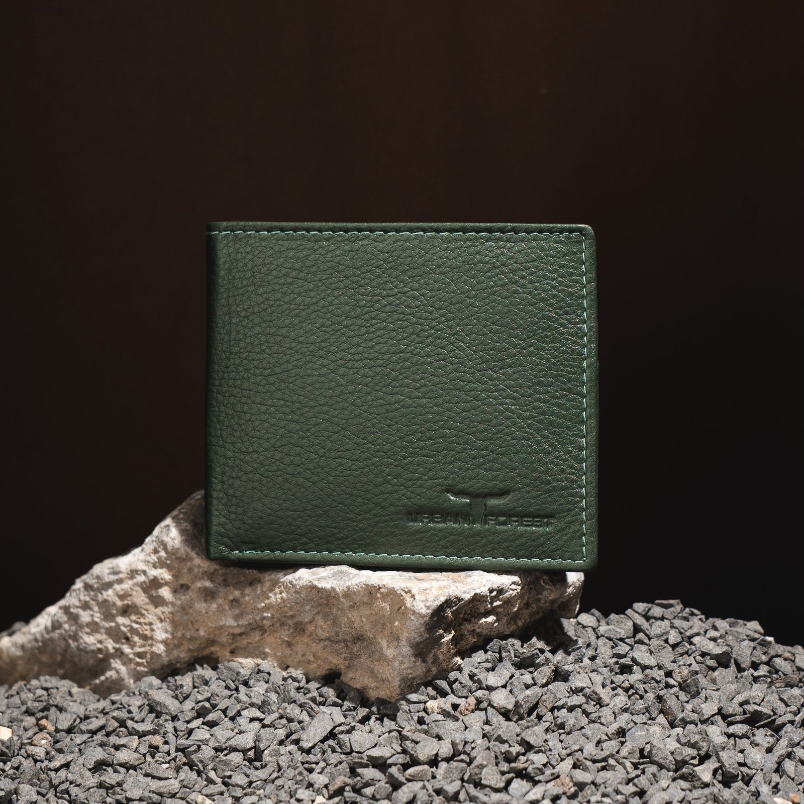 IndiFash Stan Leather Wallet for Men - Green