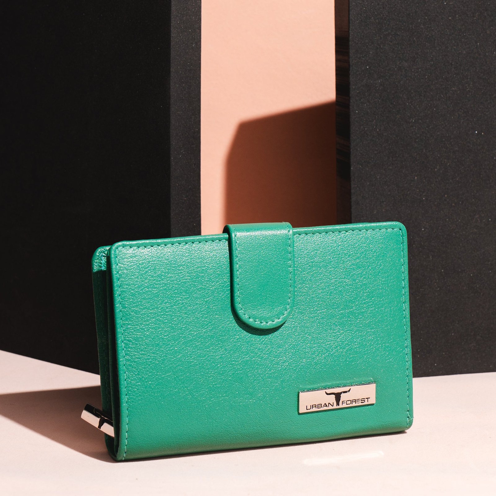 IndiFash Tina Leather Wallet for Women - Light Blue