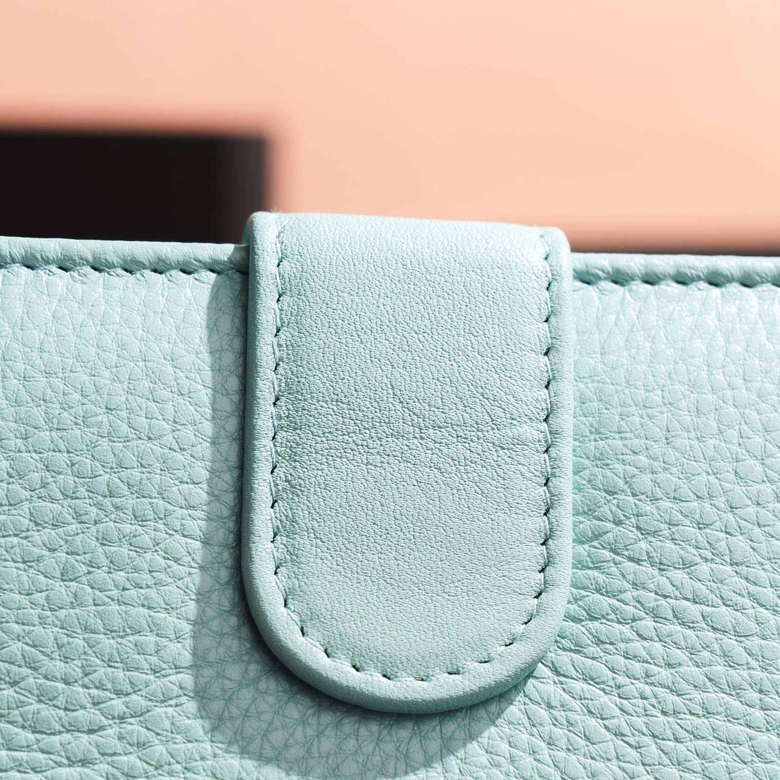 IndiFash Arya Leather Wallet for Women - Rose Pink 4